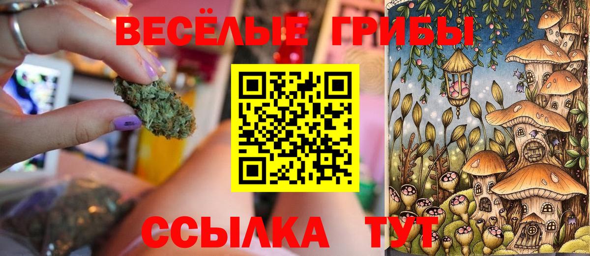 Галлюциногенные грибы мицелий Ишимбай